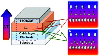 Tuning the Seebeck effect in C60-based hybrid thermoelectric devices through temperature-dependent surface polarization and thermally-modulated interface dipoles