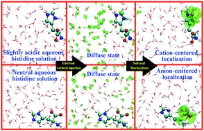 Protonation-modulated localization of excess electrons in histidine aqueous solutions revealed by ab initio molecular dynamics simulations: anion-centered versus cation-centered localization