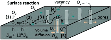 Untangling surface oxygen exchange effects in YBa2Cu3O6+x thin films by electrical conductivity relaxation