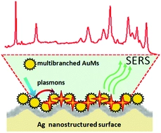 Ultrasensitive and reproducible SERS platform of coupled Ag grating with multibranched Au nanoparticles