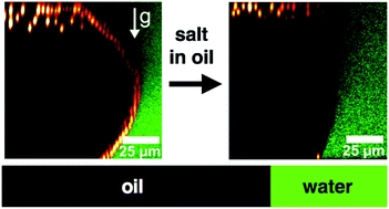 Colloid-oil-water-interface interactions in the presence of multiple salts: charge regulation and dynamics