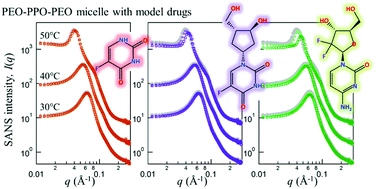 Effect of nucleoside analogue antimetabolites on the structure of PEO-PPO-PEO micelles investigated by SANS