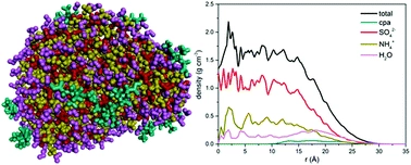 Molecular dynamics simulation of the local concentration and structure in multicomponent aerosol nanoparticles under atmospheric conditions