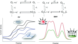 Microelectrode voltammetry of multi-electron transfers complicated by coupled chemical equilibria: a general theory for the extended square scheme