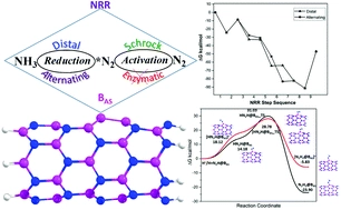 Can boron antisites of BNNTs be an efficient metal-free catalyst for nitrogen fixation? - A DFT investigation