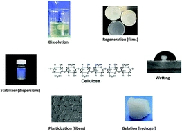 The relevance of structural features of cellulose and its interactions to dissolution, regeneration, gelation and plasticization phenomena