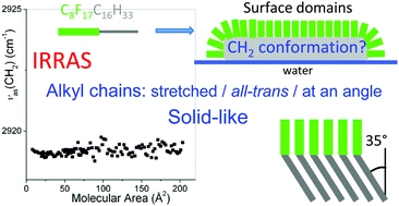 Self-assembled mesoscopic surface domains of fluorocarbon-hydrocarbon diblocks can form at zero surface pressure: tilting of solid-like hydrocarbon moieties compensates for cross-section mismatch with fluorocarbon moieties