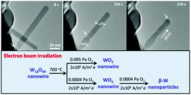 Atomic-scale observation of pressure-dependent reduction dynamics of W18O49 nanowires using environmental TEM