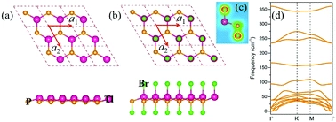 Prediction of topological property in TlPBr2 monolayer with appreciable Rashba effect