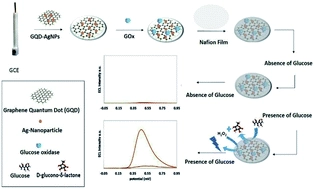 Enhanced electrochemiluminescence of luminol by an in situ silver nanoparticle-decorated graphene dot for glucose analysis