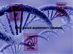 A decade of DNA-hybrid catalysis: from innovation to comprehension