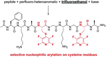 2,2,2-Trifluoroethanol as a solvent to control nucleophilic peptide arylation