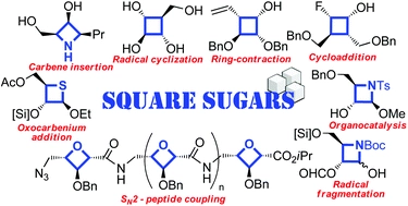 Square sugars: challenges and synthetic strategies
