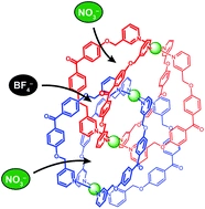 Site-selective anion recognition of an interlocked dimer
