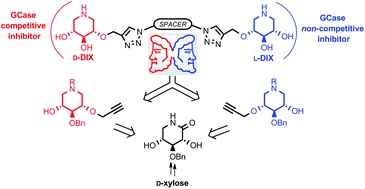 Stereodivergent synthesis of right- and left-handed iminoxylitol heterodimers and monomers. Study of their impact on [small beta]-glucocerebrosidase activity