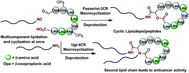 A multicomponent macrocyclization strategy to natural product-like cyclic lipopeptides: synthesis and anticancer evaluation of surfactin and mycosubtilin analogues