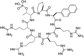 Generation of a cell-permeable cycloheptapeptidyl inhibitor against the peptidyl-prolyl isomerase Pin1