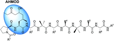 Synthesis of AHMOD-containing aminolipopeptides, unique bioactive peptaibiotics
