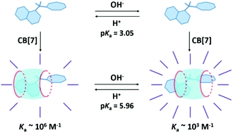 Fluorescence enhancement and pKa shift of a rho kinase inhibitor by a synthetic receptor
