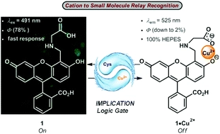 A fluorescein-based chemosensor for relay fluorescence recognition of Cu(II) ions and biothiols in water and its applications to a molecular logic gate and living cell imaging