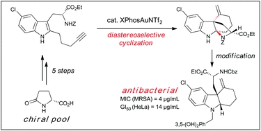 Diastereoselective synthesis and biological evaluation of enantiomerically pure tricyclic indolines