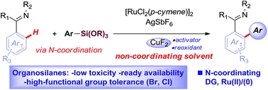 Ruthenium(II)-catalyzed ortho-C-H arylation of diverse N-heterocycles with aryl silanes by exploiting solvent-controlled N-coordination