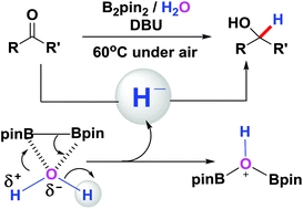 Umpolung of protons from H2O: a metal-free chemoselective reduction of carbonyl compounds via B2pin2/H2O systems