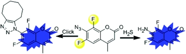 o,o-Difluorination of aromatic azide yields a fast-response fluorescent probe for H2S detection and for improved bioorthogonal reactions