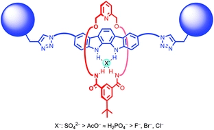 Active metal template synthesis of a neutral indolocarbazole-containing [2]rotaxane host system for selective oxoanion recognition