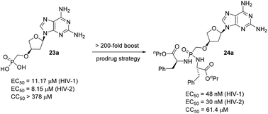 Synthesis and antiviral evaluation of base-modified deoxythreosyl nucleoside phosphonates