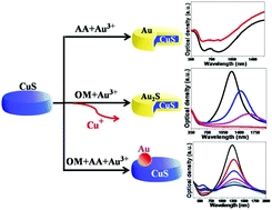Generating plasmonic heterostructures by cation exchange and redox reactions of covellite CuS nanocrystals with Au3+ ions
