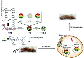 pH-Responsible fluorescent carbon nanoparticles for tumor selective theranostics via pH-turn on/off fluorescence and photothermal effect in vivo and in vitro