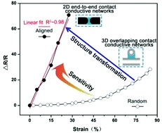 2D end-to-end carbon nanotube conductive networks in polymer nanocomposites: a conceptual design to dramatically enhance the sensitivities of strain sensors