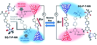 Heterospin biradicals provide insight into molecular conductance and rectification
