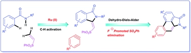 Total synthesis of aristolactam alkaloids via synergistic C-H bond activation and dehydro-Diels-Alder reactions