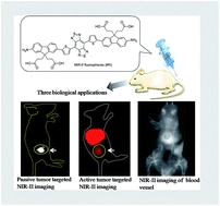 Novel bright-emission small-molecule NIR-II fluorophores for in vivo tumor imaging and image-guided surgery