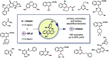 Metal-free C-H alkylation of heteroarenes with alkyltrifluoroborates: a general protocol for 1[degree], 2[degree] and 3[degree] alkylation