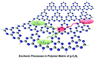 Insights into the excitonic processes in polymeric photocatalysts
