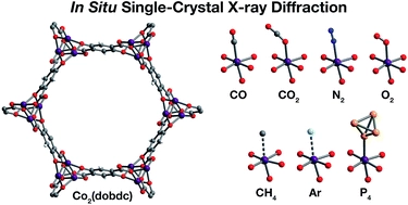 Structural characterization of framework-gas interactions in the metal-organic framework Co2(dobdc) by in situ single-crystal X-ray diffraction