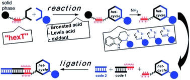 Acid- and Au(I)-mediated synthesis of hexathymidine-DNA-heterocycle chimeras, an efficient entry to DNA-encoded libraries inspired by drug structures