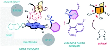 Anion-[small pi] catalysis: bicyclic products with four contiguous stereogenic centers from otherwise elusive diastereospecific domino reactions on [small pi]-acidic surfaces