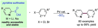 Pyridine sulfinates as general nucleophilic coupling partners in palladium-catalyzed cross-coupling reactions with aryl halides