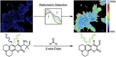 A 2-aza-Cope reactivity-based platform for ratiometric fluorescence imaging of formaldehyde in living cells
