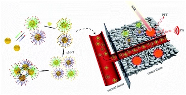 Tumor microenvironment-triggered fabrication of gold nanomachines for tumor-specific photoacoustic imaging and photothermal therapy