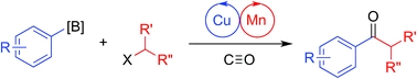 Cu/Mn bimetallic catalysis enables carbonylative Suzuki-Miyaura coupling with unactivated alkyl electrophiles