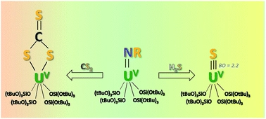 Metathesis of a UV imido complex: a route to a terminal UV sulfide