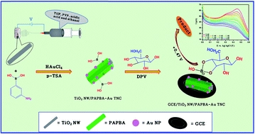 Highly selective non-enzymatic electrochemical sensor based on a titanium dioxide nanowire-poly(3-aminophenyl boronic acid)-gold nanoparticle ternary nanocomposite