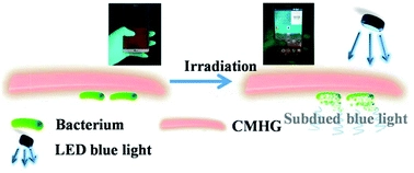 "Less Blue, More Clean": Cu2O nano-cubic functionalized hydrogel for the energy transformation of light-emitting screens