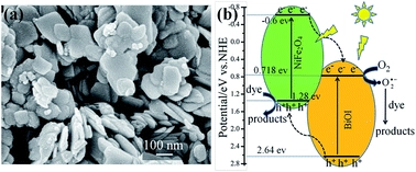 Fabrication of magnetically separable NiFe2O4/BiOI nanocomposites with enhanced photocatalytic performance under visible-light irradiation