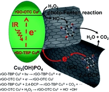 Cu2(OH)PO4/reduced graphene oxide nanocomposites for enhanced photocatalytic degradation of 2,4-dichlorophenol under infrared light irradiation